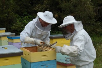 Voyage chez les apiculteurs