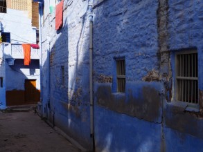 Jodhpur, la ville bleue